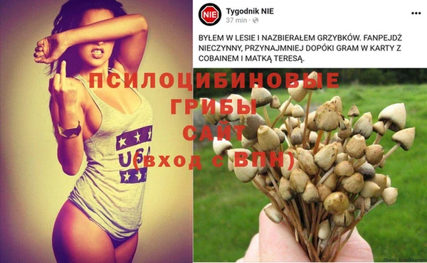 spice Арсеньев