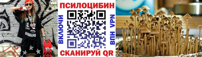 Купить закладки  Вельск  Галлюциногенные грибы прущие грибы 